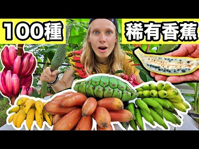 [ENG SUB] I Bet You’ve Never Seen These Bananas! This Place Has More Than 100 Types Of Bananas