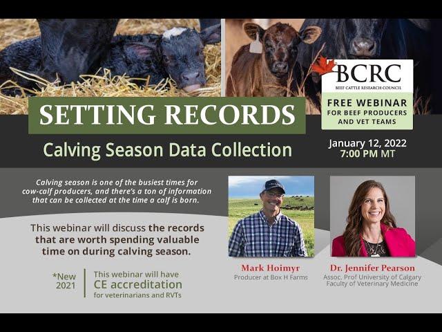 Setting Records - Calving Season Data Collection