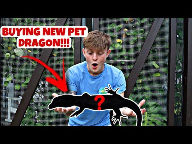 BUYING MY DREAM REPTILE!! **insane**