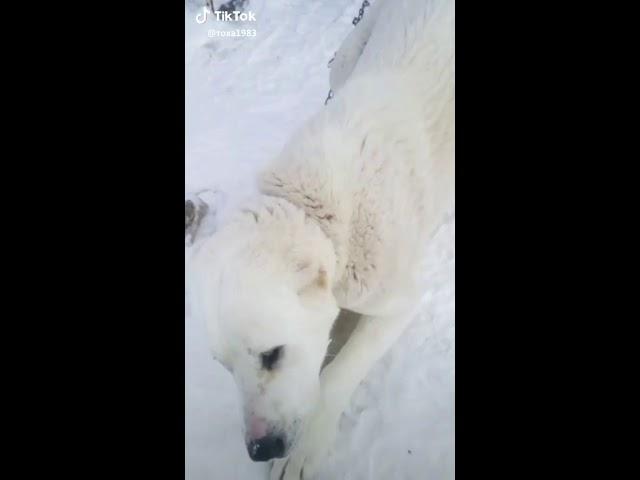 Мам смотри какое ебалай