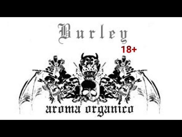 318 Burley Vapor Cave