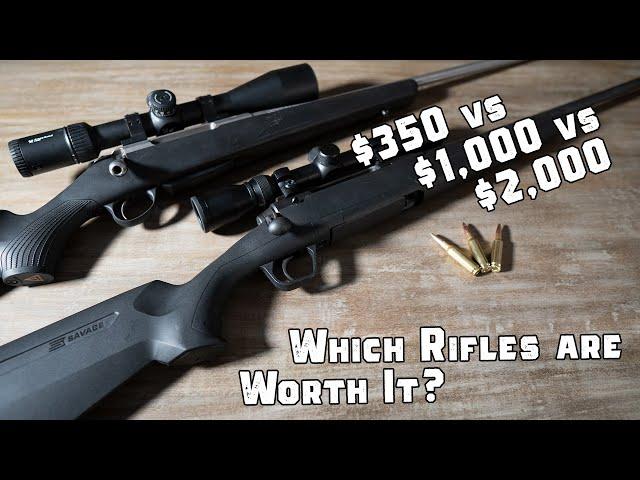 $350 Hunting Rifle vs $1,000 vs $3,000 - What you Actually Get for the Price