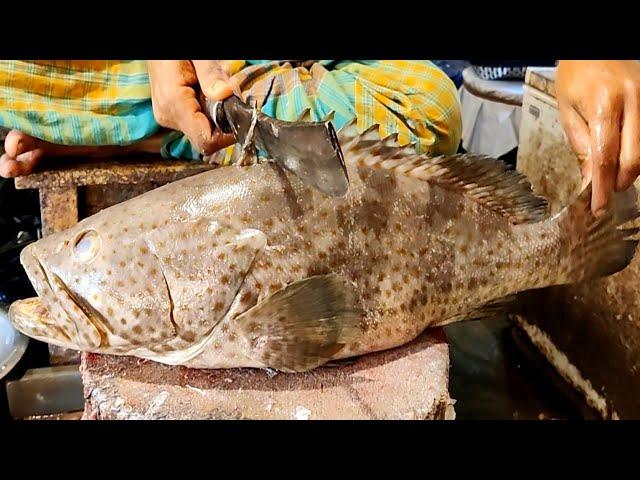 Amazing Small Giant Grouper Fish Cutting Skills In Bangladesh Fish Market | Fish Cutting skills