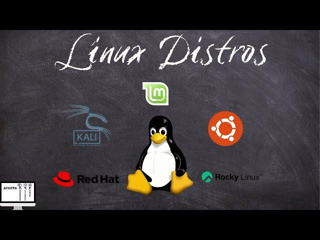 Introduction | Who is Red Hat? What is RHEL? What are Linux Distros? Let's Dive In!