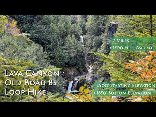 Lava Canyon - Old Road 83 Loop Hike Guide | Cougar, Washington