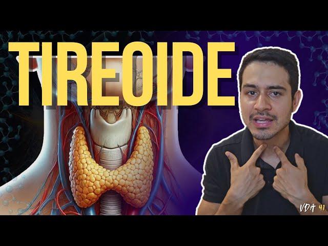 Tireoide - Vídeo Aula 41