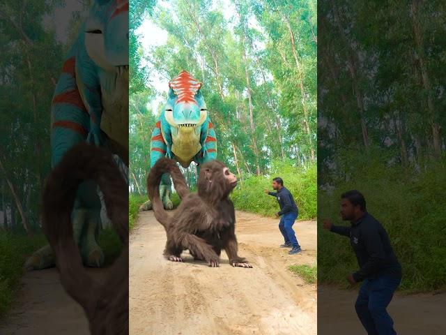T-Rex Dinosaur Hunted Monkey In Jurassic World