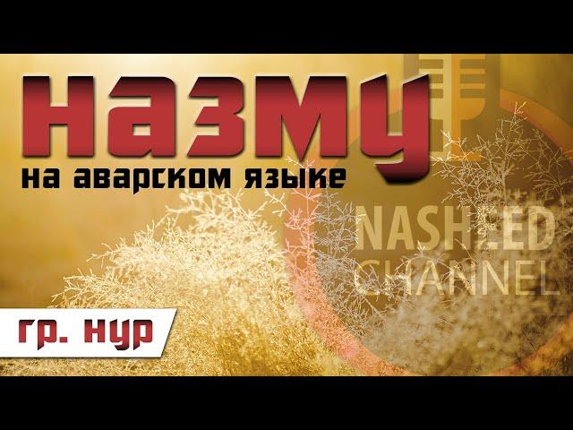 Мавлид на аварском языке | Группа Нур