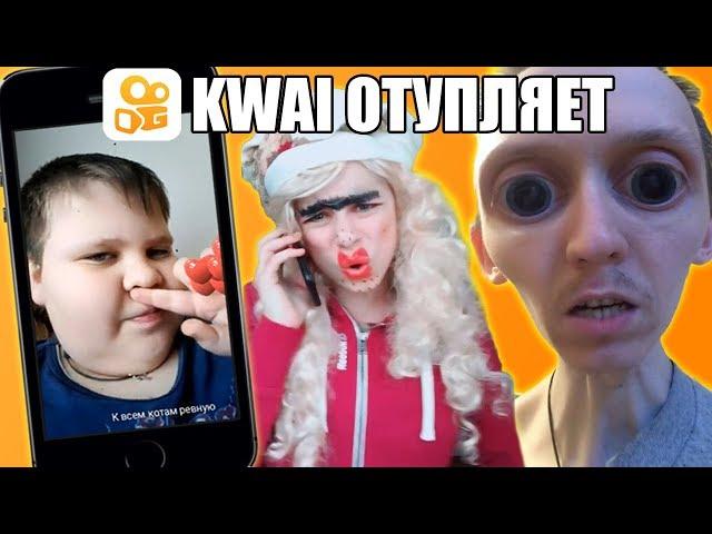 KWAI - РАЗНОСЧИК ДЕГРАДАЦИИ