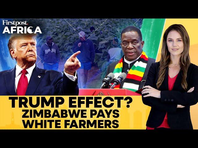 Zimbabwe to Pay Displaced, Foreign White Farmers After Trump-south Africa Row |Firstpost Africa|N18G