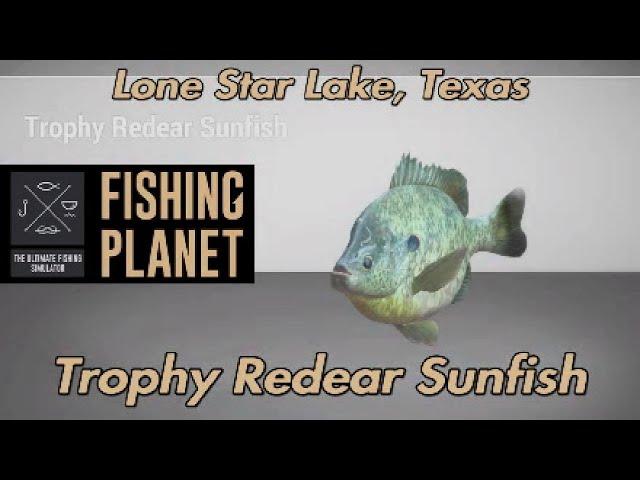 Trophy Redear Sunfish Lone Star Lake Texas Fishing Planet Guide