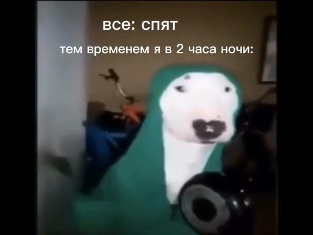 я в 2 часа ночи