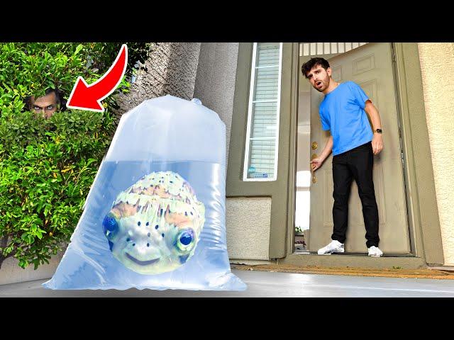 MY STALKER Sent Me A Puffer Fish... *CAUGHT ON CAMERA*