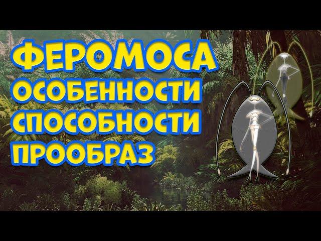 ФЕРОМОСА. ОСОБЕННОСТИ, СПОСОБНОСТИ, ПРООБРАЗ