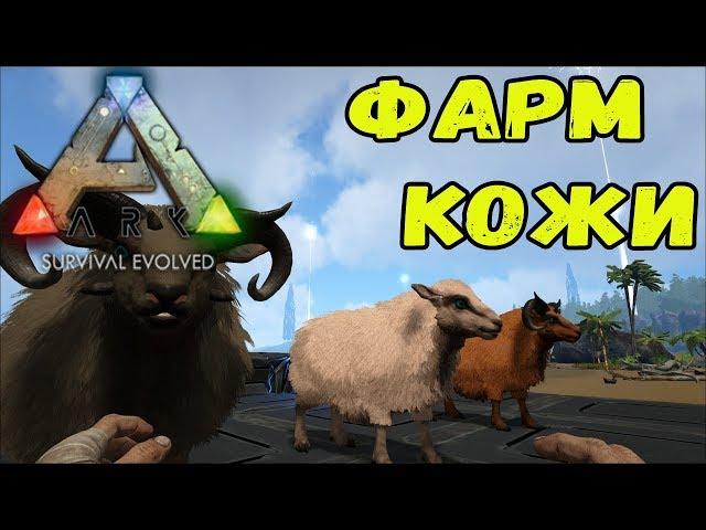Фарм кожи. ARK Survival Evolved.