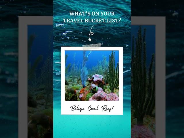 Make Belize part of your Bucket List!