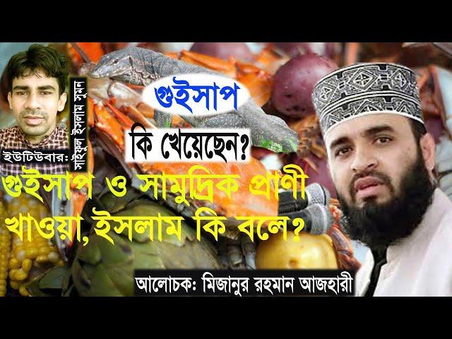 Is Seafood Halal or Haram? । Bangla waz ।  Mizanur Rahman Azhari । Maimuna Tv24