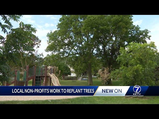 Keep Omaha Beautiful launches new Trees for Tomorrow program