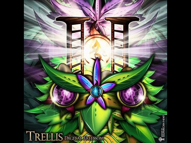 05 Trellis - Alien Cult