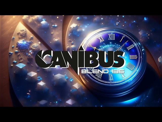 CANIBUS - BLEND 136