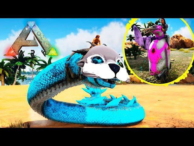 Незаменимый ВАСИЛИСК и Ездовой ПИНГВИН - ARK Survival Pugnacia Dinos #13