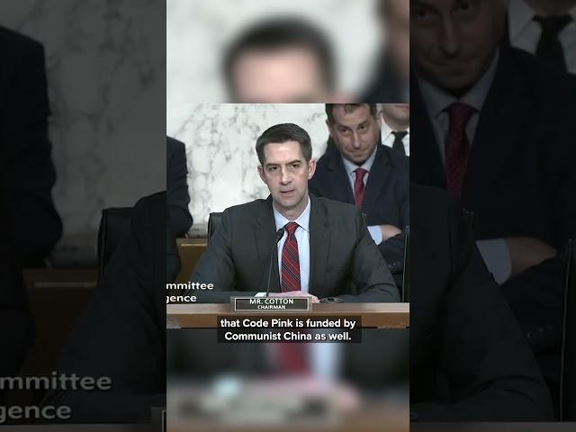 Senate Intelligence Committee is disrupted by a protestor