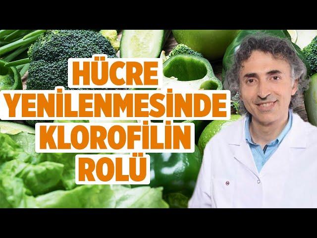 KLOROFİL Hangi Hastalıkların Tedavisinde Kullanılır? | Melek Feyza Karaman | Doktor Fitt