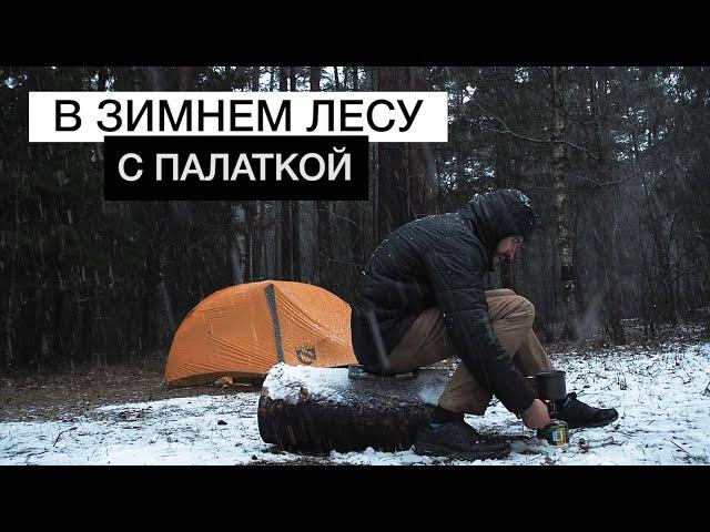 C ПАЛАТКОЙ в ЗИМНИЙ лес | Поход по зимнему лесу