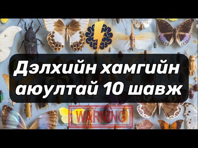 Дэлхийн хамгийн аюултай 10 шавж