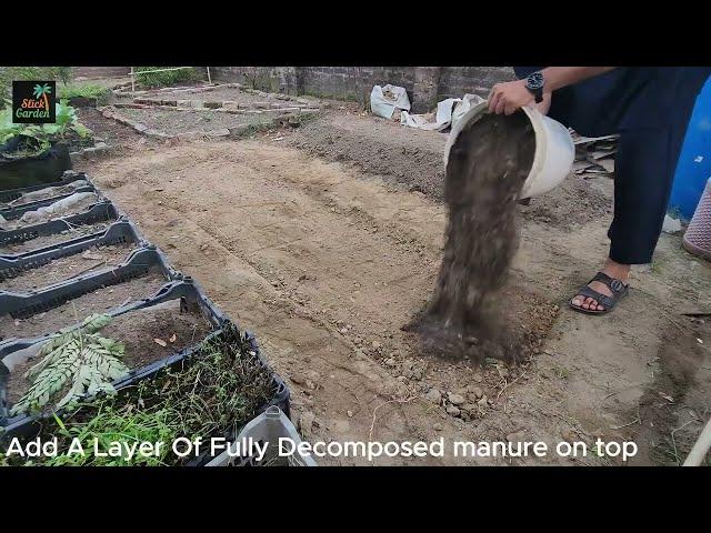 Transform Dead Soil into a Plant Paradise in Just a Few Days
