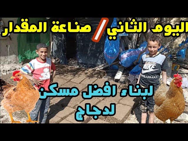 يوميات روبيو اليوم التاني من صنع المقدار لبناء مسكن الدجاج