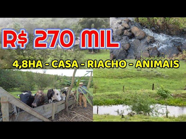 (VENDIDO) CHÁCARA EM SANTO ANTÔNIO DA PATRULHA 4,8HA CASA RIACHO  BOIS ÉGUA  GALINHAS R$  R$ 270 MIL