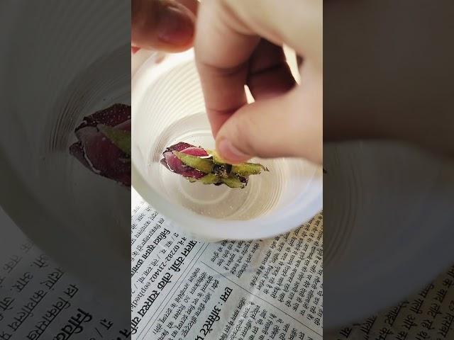 ️  #resin #diy #love #trending #easyresin #yashika #instagram #reels #story #craft