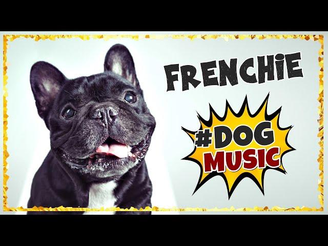 Dog Music For Frenchies ~ Music for French Bulldogs ~ Music for Dogs to Sleep