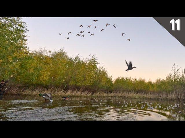 Decoying BIG FLOCKS Into A Hidden WILLOW HOLE | Kayak Duck Hunting