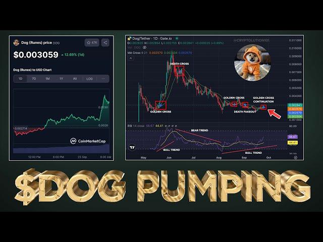 $DOG outperforms Bitcoin by 31%+ (Golden Cross Forms) 