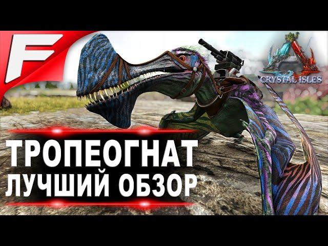 Тропеогнат (Tropeognathus) в ARK. Лучший обзор: приручение, разведение и способности  в АРК