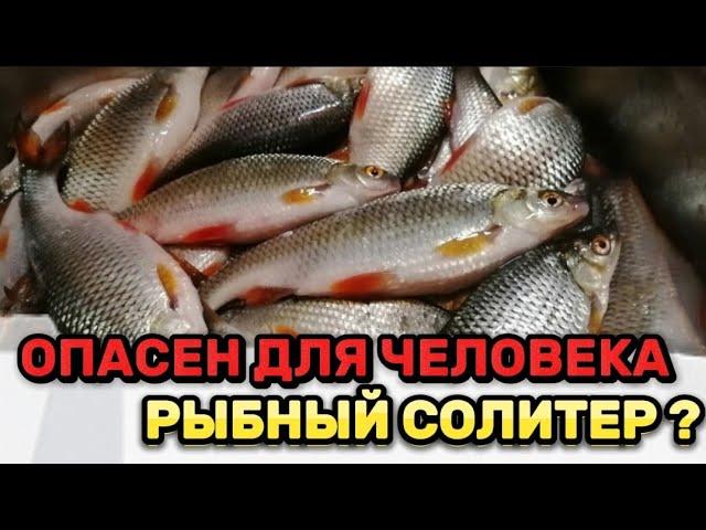 СОЛИТЕР В РЫБЕ. Можно ли есть СОЛИТЕРНУЮ рыбу? Паразиты рыб