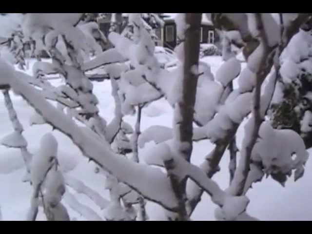 Cold winter day is for snow bath.