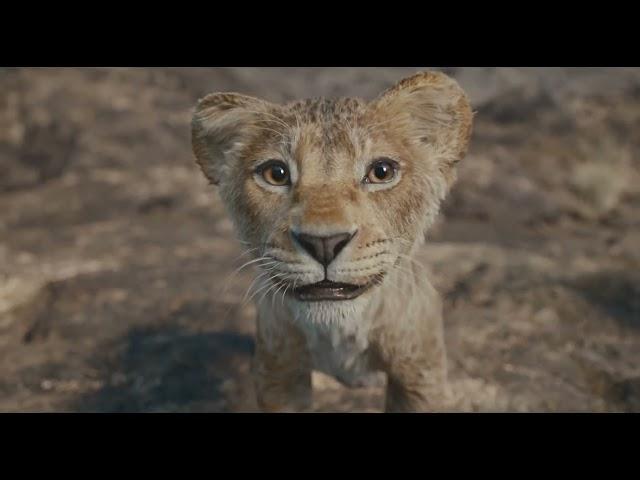 Disney's Mufasa: The Lion King | Rafiki Family | In Cinemas Now