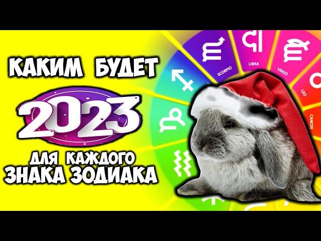 Каким будет 2023 год для каждого Знака Зодиака