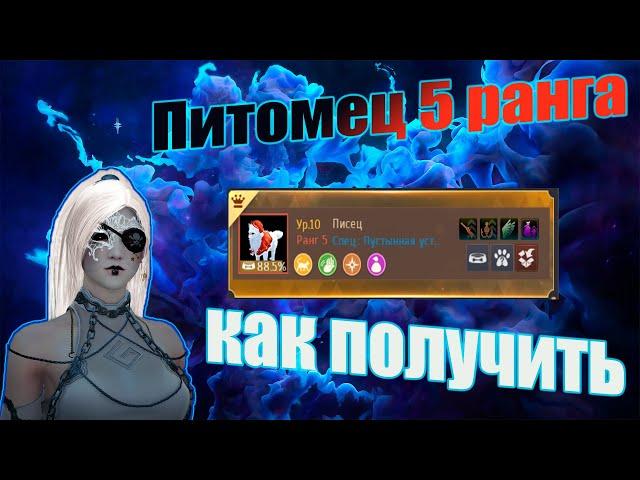 Как получить питомца 5 ранга | Назначение вожака | Black Desert