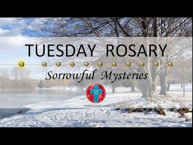 Tuesday Rosary • Sorrowful Mysteries of the Rosary  March 11, 2025 VIRTUAL ROSARY - MEDITATION