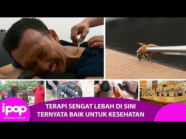 Wisata Sambil Terapi Sengat Lebah -IPOP