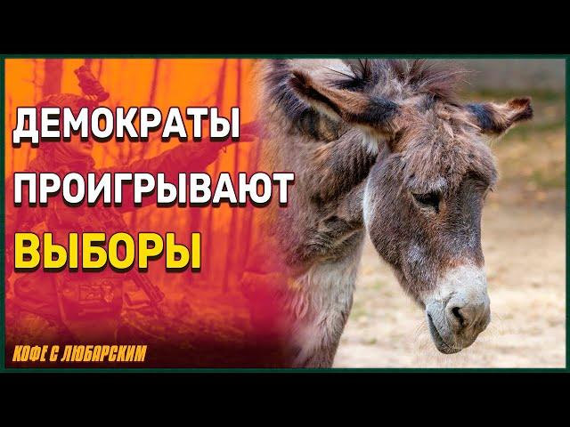 ️Шестой День до Выборов: Судный Час для Демократов?