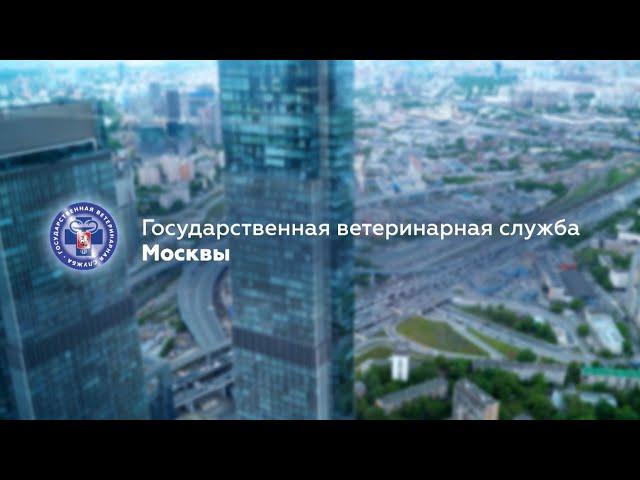 Государственная ветеринарная служба Москвы. Презентационный фильм (2023 г.).