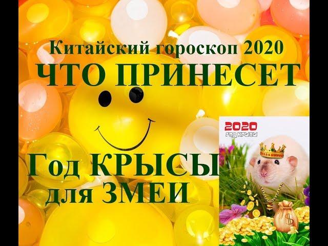 Год КРЫСЫ для ЗМЕИ. Китайский гороскоп 2020. Таропрогноз.