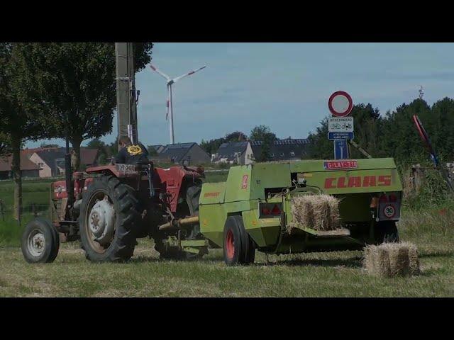 Landb. Ampe - Gistel - Massey Ferguson 155 - Claas Dominant