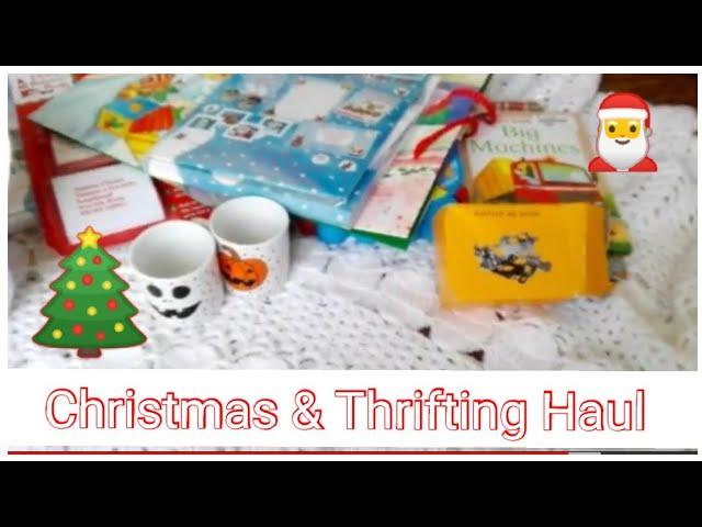 Reborn Xmas & thrifting bargains Haul #1