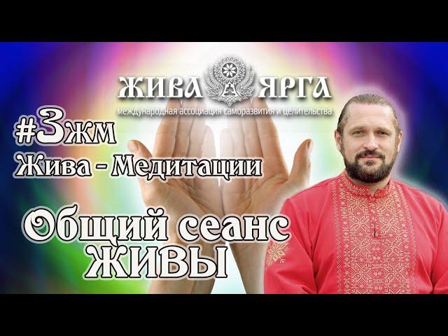 Медитация ОБЩИЙ СЕАНС ЖИВЫ |Полное Исцеление Души и Тела|  Жива-Медитации.#3жм.Владимир Куровский.